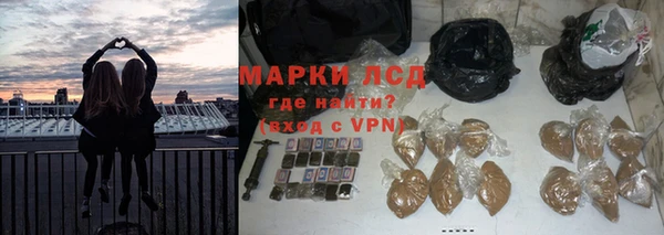 трава Зерноград