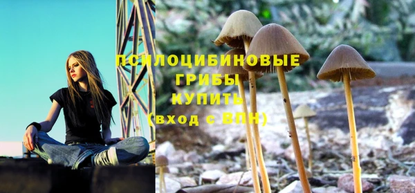 а пвп мука Зеленодольск