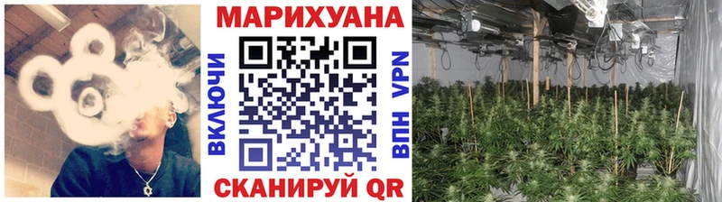 Купить где  Венёв  Канабис AK-47 
